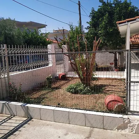 Mina * Corinth